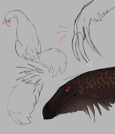 Rough sketches + color Rough sketches + color
