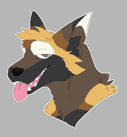 Clean + color Clean + color