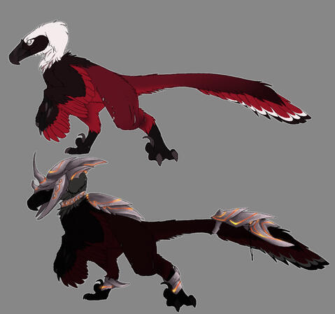 Armor + variation